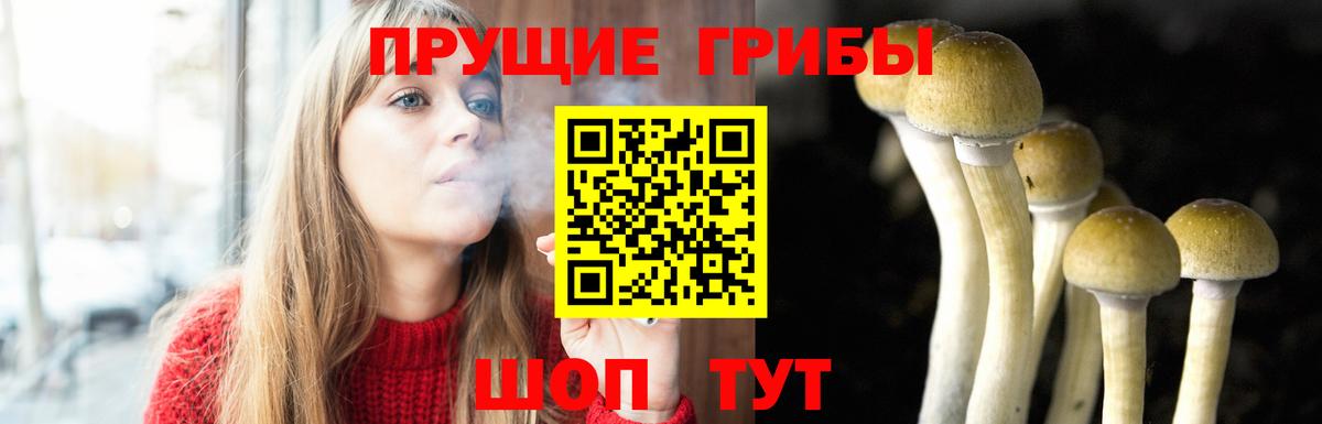 Псилоцибиновые грибы мухоморы  Псилоцибиновые грибы мицелий  Феодосия  Вход с VPN 